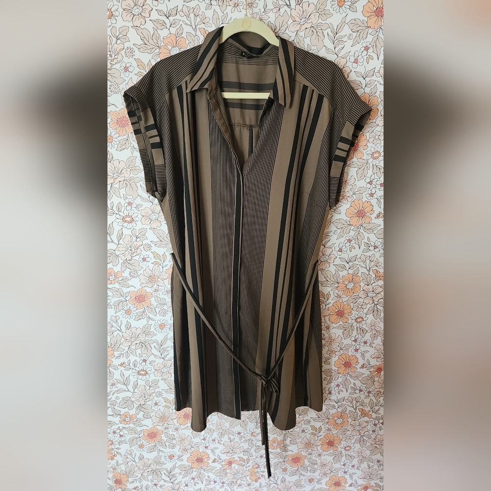 Express Brown and Black Striped Dress